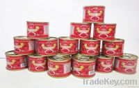 canned tomato paste