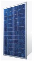 Solar Module