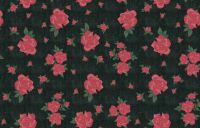 Cotton Denim Fabirc 002