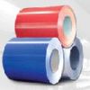 Prepainted galvanized steel coil