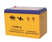 lead acid battery(12v, 24ah)