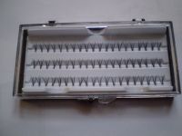 3æŸç«æ¯›