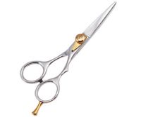 Barber Scissors