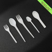 Disposable Plastic Tableware