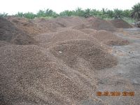 Palm Kernel Shell