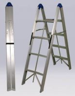 Aluminum Ladder