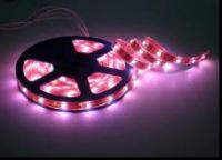 Led Strip Light SMD5050-01