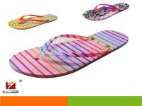 Lionstar Women's flip flops