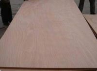 Commercial Plywood