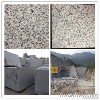 G655 Granite (White)