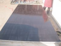 Black Film Faced Plywood