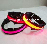 illuminant pet collar/Flash pet collar