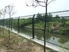 fencing wire mesh