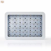 300W 600W 800W 1000W 12000W 1500W 1800W 2000W LED Grow Light 