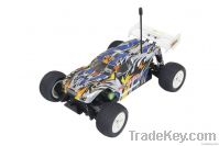 1/18 Truggy