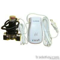 AC 220V or 110V CE approved network Gas Leak Detector wit