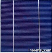 poly solar cells