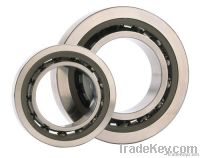 stainless steel bearing 6202zz