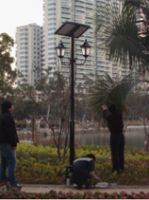 Solar garden light