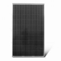 polycrystalline solar module