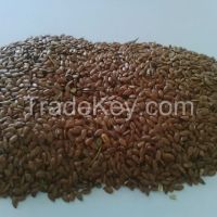 Flaxseeds/Lineseeds