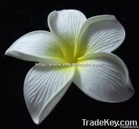 Plumeria foam flowers