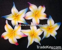 Plumeria foam flowers