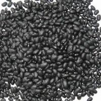 Black Kidney Beans