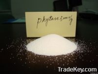 Phytase (Kingphos)