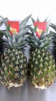 Fresh Pineapple