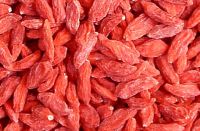 goji wolfberry