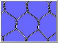 Hexagonal Wire Mesh