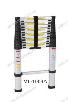 telescopic ladder