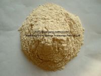 Wheat protein concentrate (feed grade)