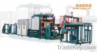 PS foam lunch box hydraulic thermoforming machine