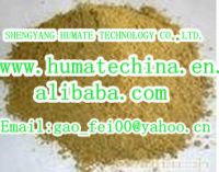 Fulvic Acid