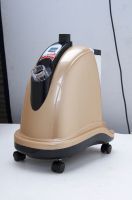 Household Folding Garment Steam Iron