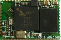 stereo bluetooth module