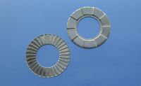 twin lock washers