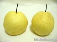 fresh ya pear