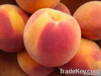 fresh Peaches