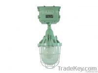 Explosion-proof Lights, 3years warranty, over 60, 000hours lifetime