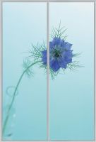 MDF Wardrobe; Sliding Door Materail (uv Color Mdf Board)