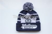 winter beanie/winter hat