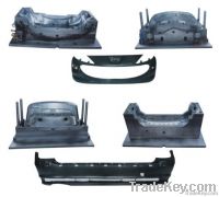 auto bumper mould