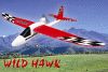 RC Airplane-Wild Hawk-Easy Control