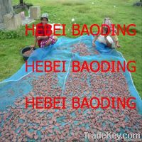 plastic wire netting 16x16 mesh to thailand market