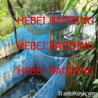 blue white green screen netting