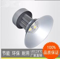 LED High Bay Lights