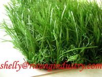 garden artificial lawn(grass, turf)